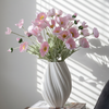 Poppy Bouquet of 8 in Rose | Bloom