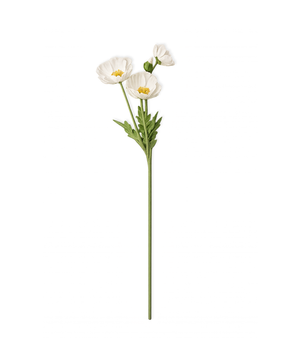 Poppy Blooms in White | Bloom