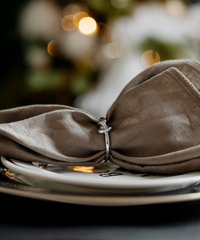 Napkin rings gold & silver in a set of 6 | Tye