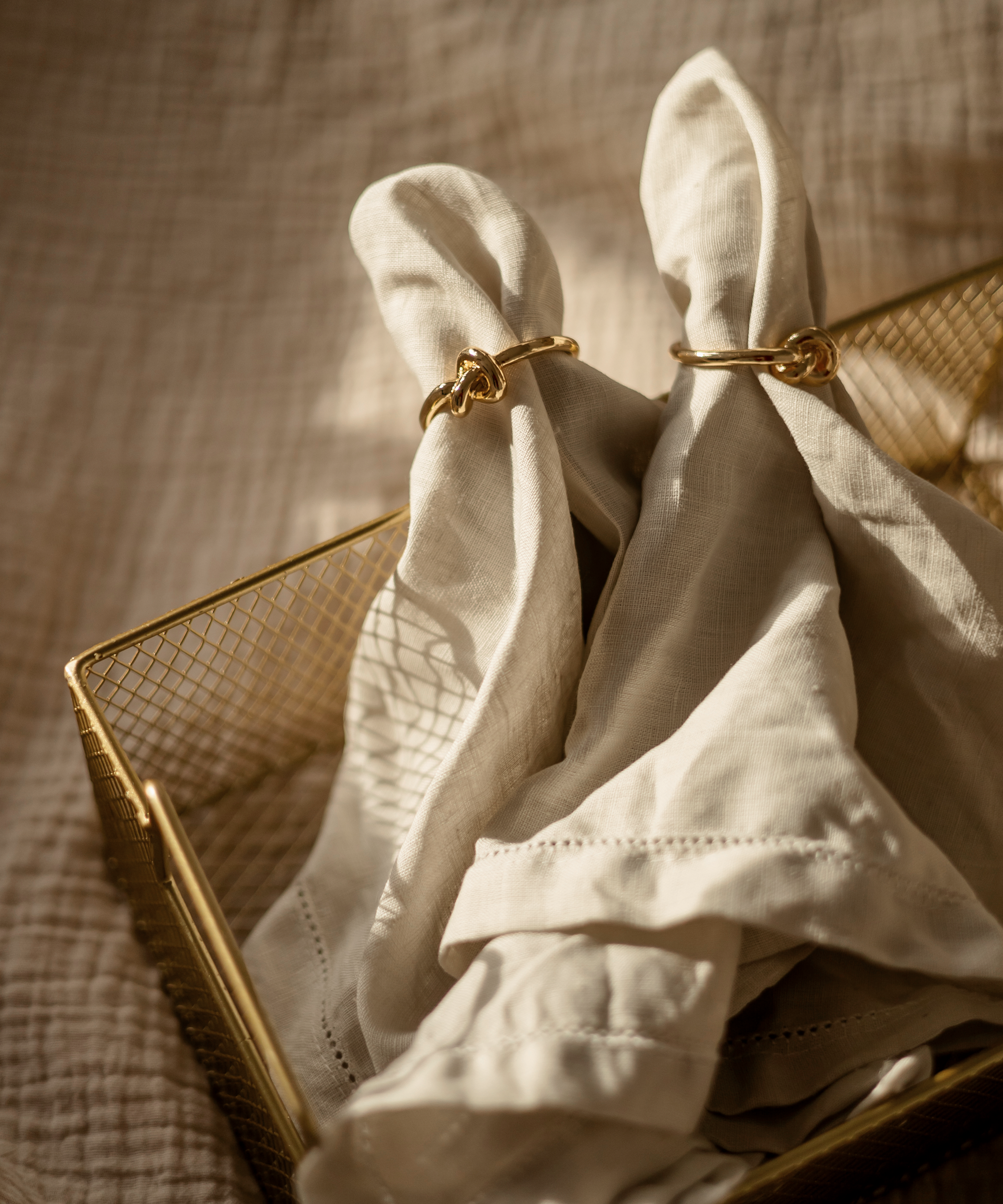 Napkin rings gold & silver in a set of 6 | Tye