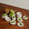 Tableware Set Beige Glossy | Nia
