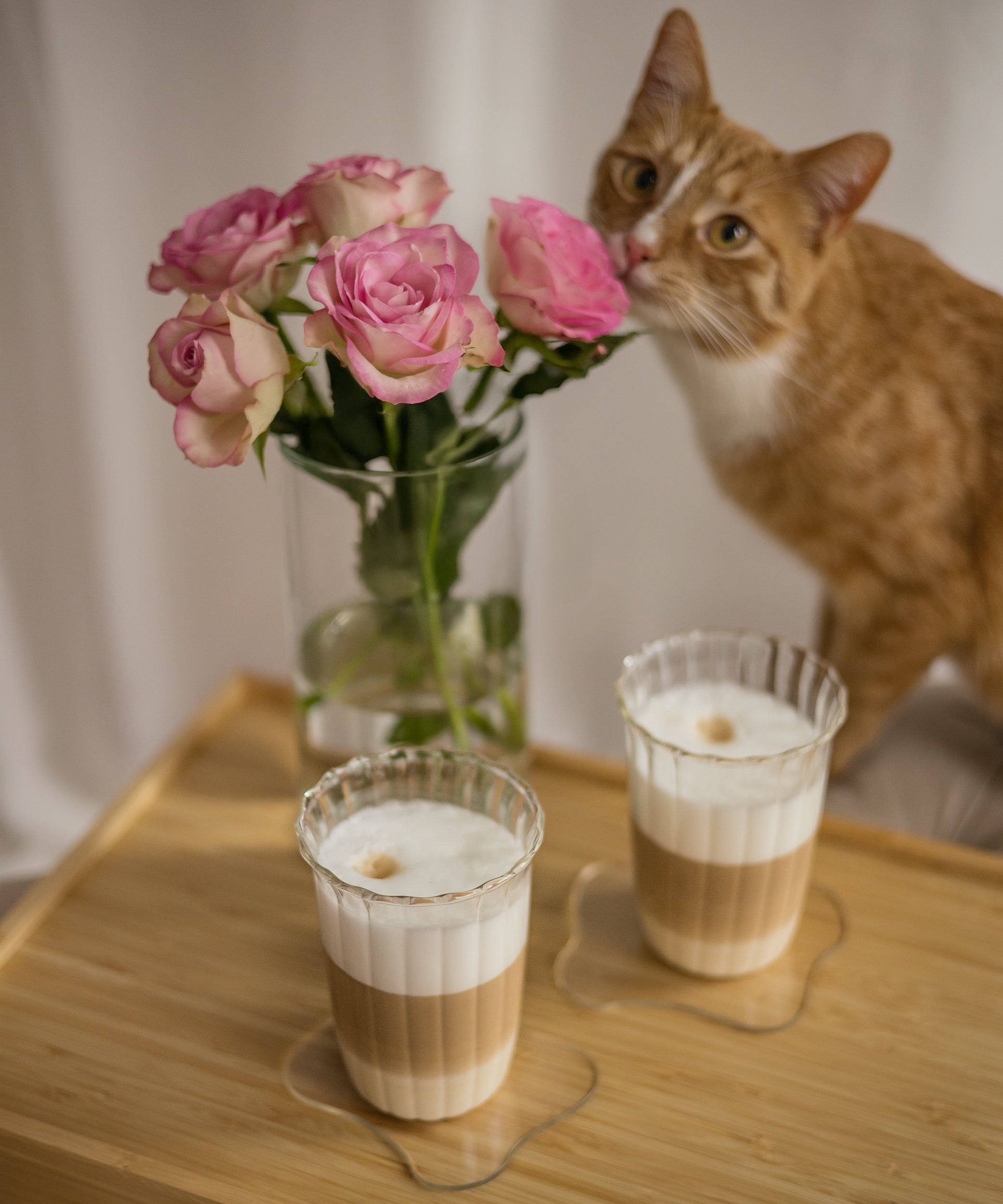 V-Day Edition Glas gerüschter Rand | Norway