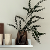Glass Vase Duo in Brown Smoked Glass | Nuru