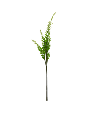 Sage Blossom in White | Bloom