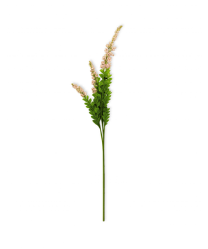 Sage Flower in Pink | Bloom