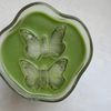 Ice Cube Butterfly | Clea